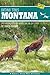 Birding Trails Montana by Chuck Robbins