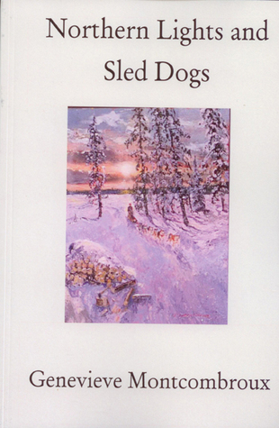 Northern Lights and Sled Dogs