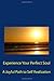 Experience Your Perfect Soul