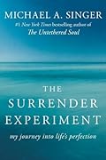 The Surrender Experiment: My Journey into Life&#x27;s Perfection 