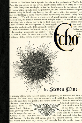 Echo