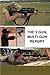 The 3 Gun, Multi-gun report by James R. Morris
