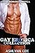 Gay Erotica Collection