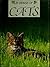 In Praise of Cats