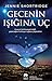 Gecenin Işığına Uç