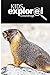 Groundhogs - Kids Explore: Animal books nonfiction - books ages 5-6