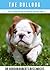 The Bulldog: A Vet's Guide on How to Care for Your Bulldog