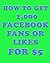 How To Get 1,000 Facebook F...
