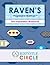 Raven's Progressive Matrices Test Preparation Workbook