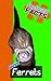 Fantastic Facts About Ferrets: Illustrated Fun Learning For Kids