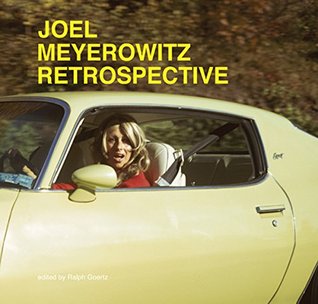 Joel Meyerowitz: Retrospective (Hardcover)