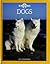 Dogs by Jill Caravan Dogs by Jill Caravan