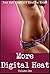 More Digital Heat Volume One: Five Explicit Erotica Stories