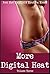 More Digital Heat Volume Three: Five Explicit Erotica Stories