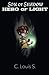 Son of Shadow Hero of Light