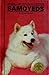 Samoyeds