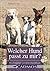 Welcher Hund passt zu mir?: Der Ratgeber vor dem Hundekauf (Cadmos Hundewelt) (German Edition)