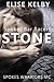 Stone (Spokes Bar MC Racers Book 1)