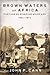 Brown Waters of Africa: Portuguese Riverine Warfare 1961-1974 (Helion Studies in Military History Book 17)