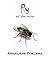 fly and other stories by Anneliese Poelsma fly and other stories by Anneliese Poelsma
