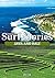 Stormrider Surf Stories Jav...