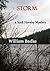 Storm - A Scott Horsley Mys...