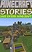 MINECRAFT: Minecraft Stories: Jake Enters Minecraft [Entertainment & Games] (Minecraft, Minecraft Books For Kids, Minecraft Games, Minecraft Xbox, Minecraft Stories For Kids, Minecraft Mobs)