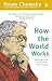 How the World Works by Noam Chomsky