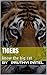 Tigers: know the big cat