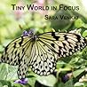 Tiny World in Focus