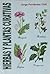 Hierbas y Plantas Curativas by Jorge Fernandez Chiti