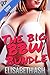 The Big BBW Bundle (7 Hot BBW Tales)