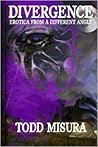 Divergence by Todd Misura
