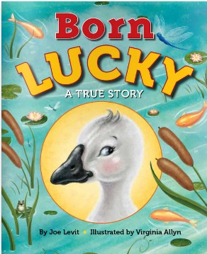 Born Lucky: A True Story