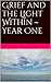 Grief and the Light Within ~ Year One by Lisbeth Chapin