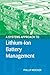 A Systems Approach to Lithium-Ion Battery Management (Artech House Power Engineering)