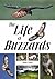 The Life of Buzzards