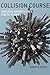 Collision Course: Endless Growth on a Finite Planet (The MIT Press)