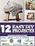 12 Easy DIY Projects