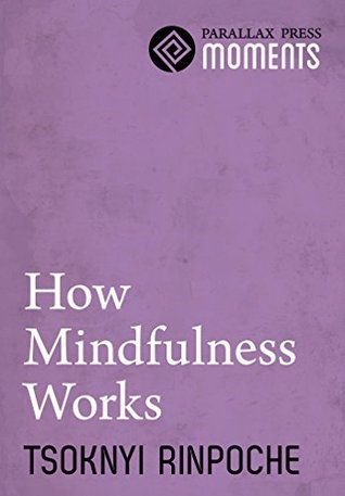 How Mindfulness Works (Kindle Edition)