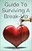 Guide To Surviving A Break-...