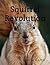 Squirrel Revolution