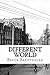 Different World: A Gina Stone Mystery (Gina Stone Mysteries)