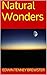 Natural Wonders by Edwin Tenney Brewster
