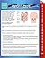Ostomy Care (Speedy Study Guides)