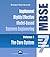 The MBSE Strategy:The Core System, Volume 1: Establish a Highly Effective Model-Based Systems Engineering (MBSE) Environment (The Complete MBSE Implementation, a 7-Part Strategy)