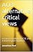 AO3 - alternative critical views: essays to challenge GCSE and A level English Students