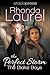 The Perfect Storm (The Blake Boys, #6) by Rhonda Laurel