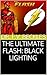 THE ULTIMATE FLASH: BLACK LIGHTING