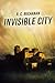 Invisible City